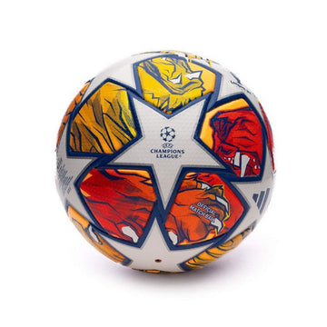 UEFA Champions League 24 Football