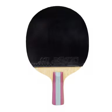 Double Fish 1A+C Ping Pong Racket