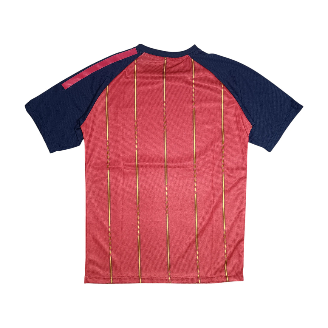 Spain Team Jersey