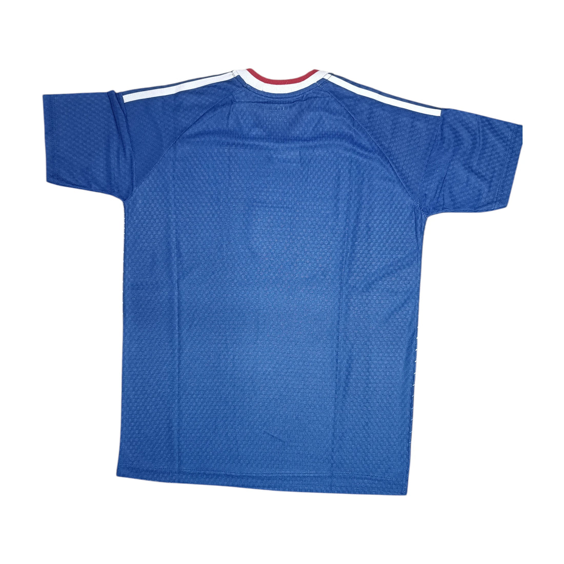 Japan Team Jersey
