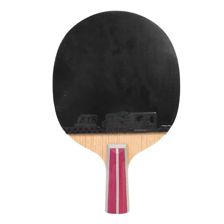 Double Fish 2A+E Ping Pong Racket