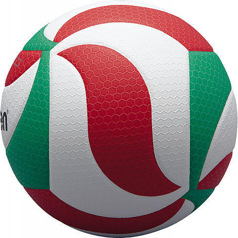 Molten Volleyball 5000